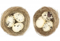 Preview: Natur-Nest mit Eier Rico Design 